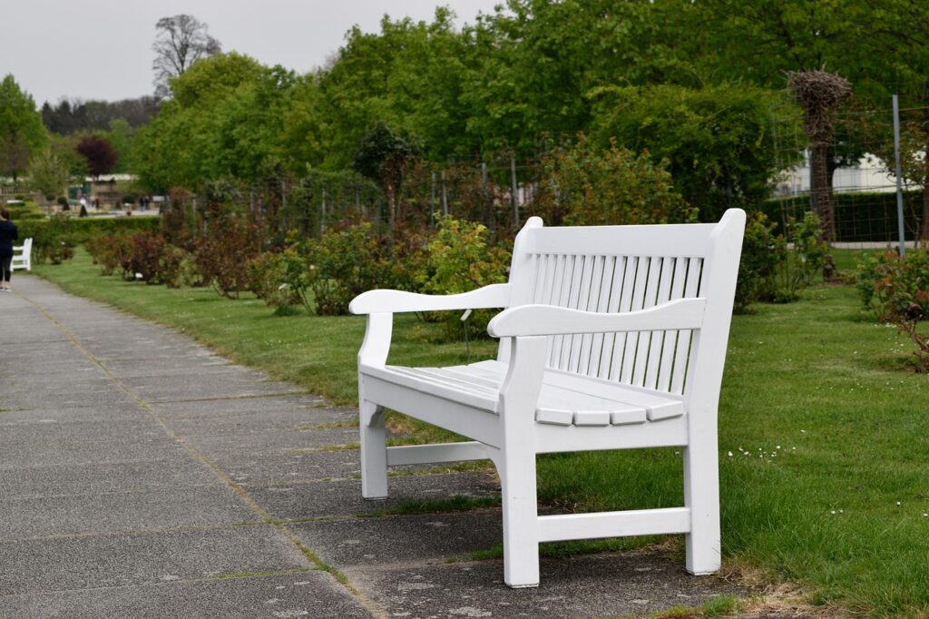 Photo of a park bench in a park.