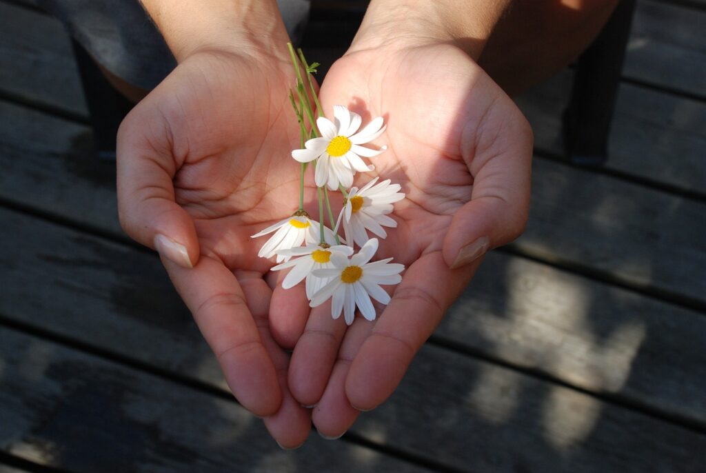 A photo of two hands offering flower petals