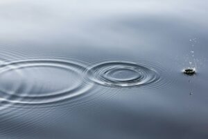 ripples caused by drops on water surface